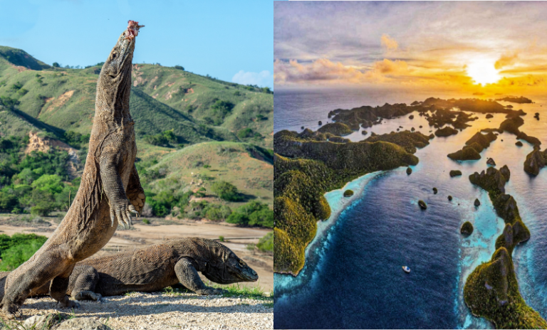 Combining Labuan Bajo and Raja Ampat