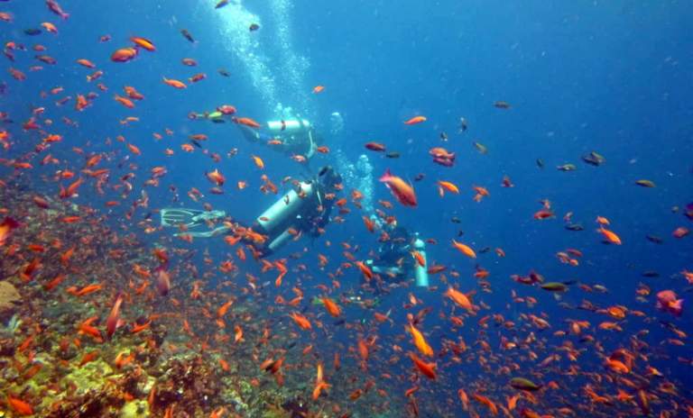 Diving and Snorkelling Seasons in Komodo