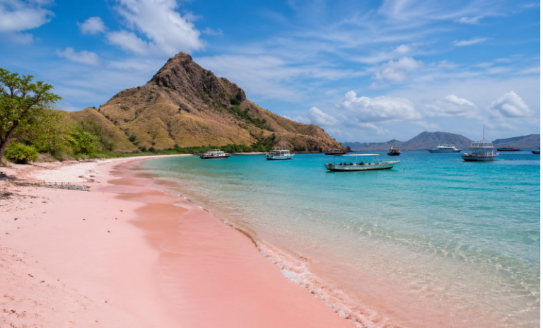 8pinkbeach
